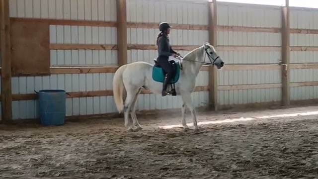 Zoe under saddle
