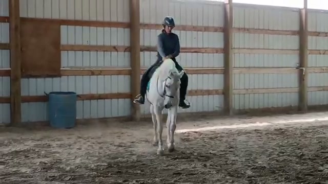 Zoe cantering